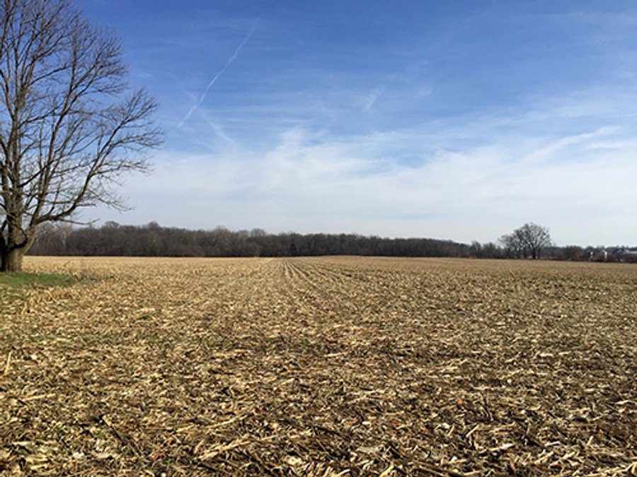 FARMLAND AUCTION - 145+/- ACRES IN 4 TRACTS FROM 3-52 ACRES IN WAYNE COUNTY